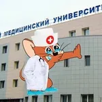 Аватар канала Записки юного Вовчика