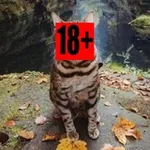 Аватар канала Клуп 18+