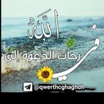 Аватар канала 🌼 في رحاب الدعوة إلى الله 🌼