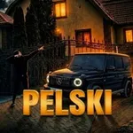 Аватар канала PELSKI