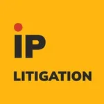 Аватар канала IP Litigation