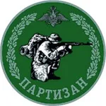Аватар канала ПАРТИЗАН