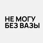 Аватар канала Не могу без вазы