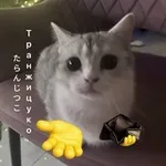 Аватар канала Транжицуко (•͈⌔•͈⑅)