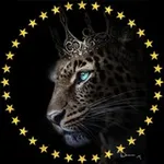 Аватар канала ⚜️ Check.Lux ⚜️