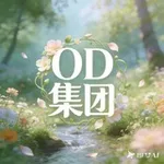 Аватар канала OD集团直招