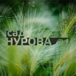 Аватар канала Сад Нурова