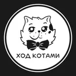 Аватар канала Ход Котами