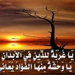 Аватар канала غربة الدين