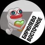 Аватар канала Бирюлево Восточное