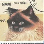 Аватар канала Подслушано в Сах косплей км