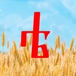 Аватар канала ТехнокультурологЪ