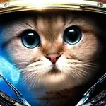 Аватар канала Коммунистический Кот Александра Коммари