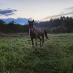 Аватар канала #СпасиУзкое
