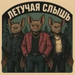 Аватар канала Летучая слышь