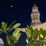 Аватар канала فَإِنِّي قَرِيبٌ 🌼