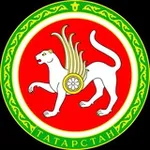Аватар канала Tatarstan. Без булдырабыз