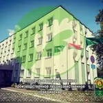 Аватар канала Лесоводы Гомельщины 🌳 🌲 🌳