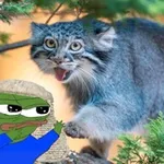 Аватар канала Judge Frog’s S’more Cult