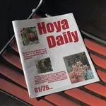 Аватар канала Hoya Daily
