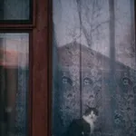 Аватар канала здесь живут люди