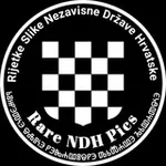 Аватар канала Rare NDH pics