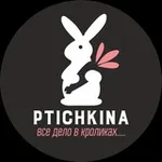 Аватар канала Ptichkina_alisa_larek