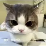 Аватар канала 小芸の 🏠