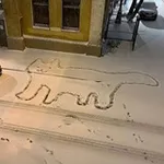 Аватар канала Weird Street Signs