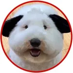 Аватар канала 🐶 МИЛОТА.ХВОСТА 🐕