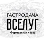 Аватар канала Гастродача Вселуг