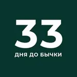 Аватар канала 33 Days until Bullrun