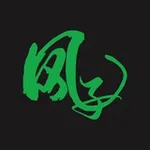 Аватар канала 上海风子修车报告频道