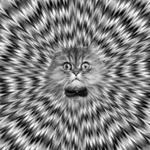 Аватар канала Illusion of deception
