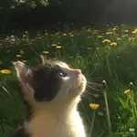 Аватар канала Мир Рин 💗