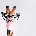 Аватар канала La JIRAFA 🦒