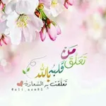 Аватар канала 🌺 ✨ غــايتـنا الجنة ✨ 🌺