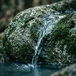 Аватар канала Максим 🌿 Вера и Вечное 📚