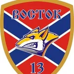 Аватар канала 🅉 ВОСТОК-13