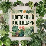 Аватар канала Цветочный календарь Москва и Петербург