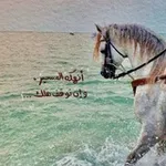 Аватар канала - لِـ إِبـنَـةُ الشّـامِ . 🍂