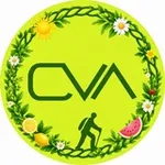 Аватар канала OVA