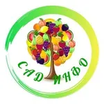 Аватар канала САД - ИНФО