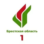 Аватар канала Брест. Партия «Белая Русь»