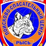 Аватар канала ДПСЦ "РЫСЬ"
