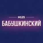 Аватар канала Бабушкинский район ❤️ М125