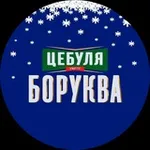 Аватар канала ЦЕБУЛЯ БОРУКВА 🤙 🧅