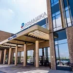 Аватар канала КДЦ Ромашка