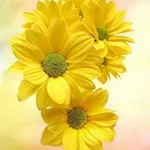 Аватар канала 🌷 الداعيــات الى الله 🌷