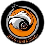 Аватар канала ДПСО «Лига Спас»